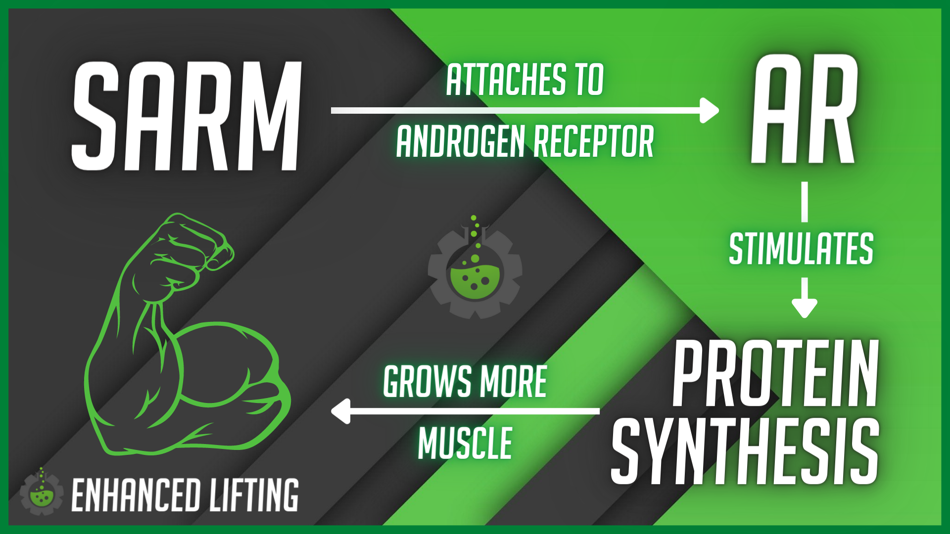 MECHANISM OF ACTION OF SARMS